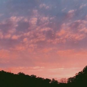 Meet your Posher, Audrey